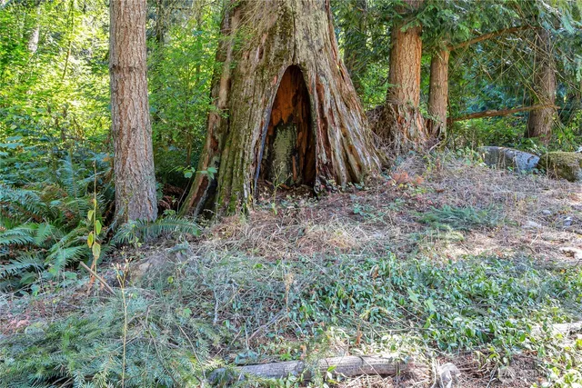 a view of small yard