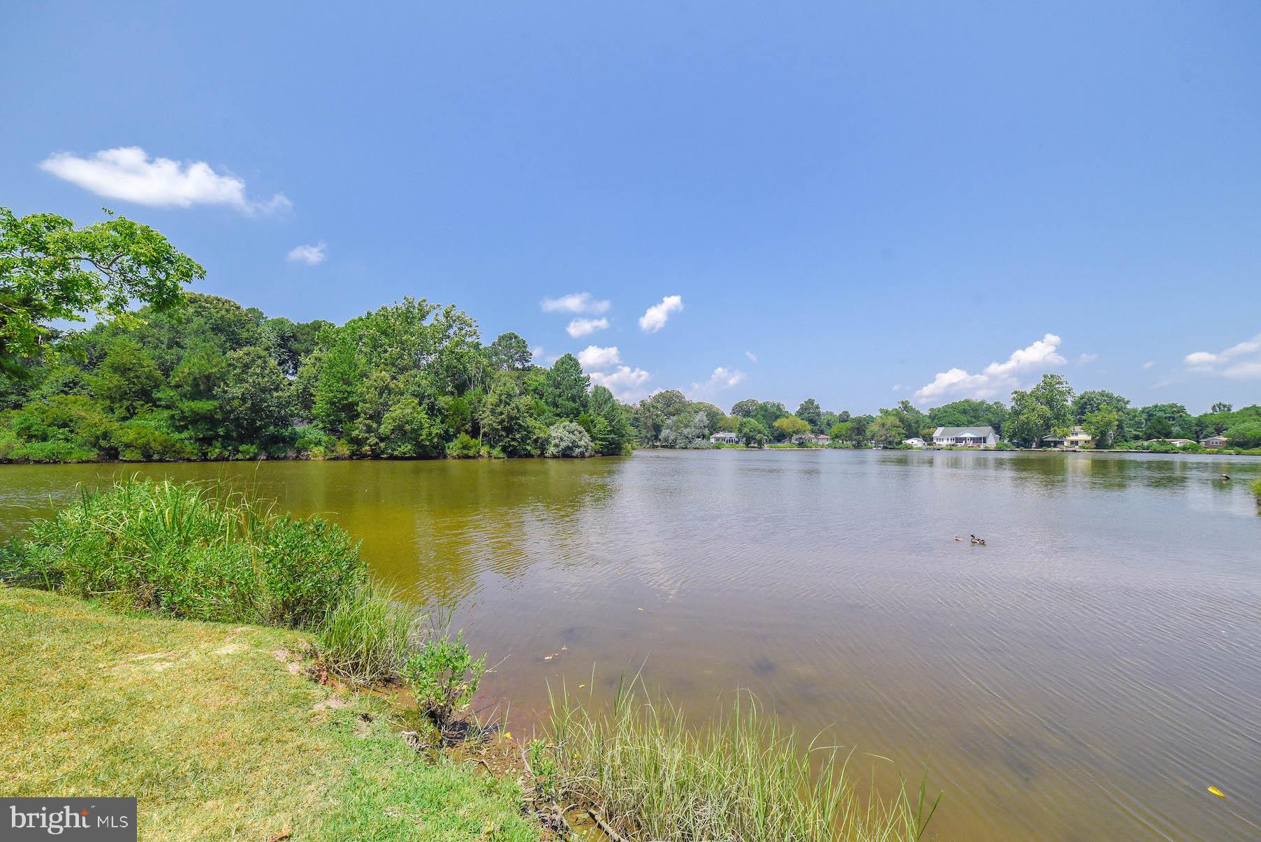 29799 Allen Road Mechanicsville, MD 20659 - Photo 42 of 49 a view of a lake from a yard
