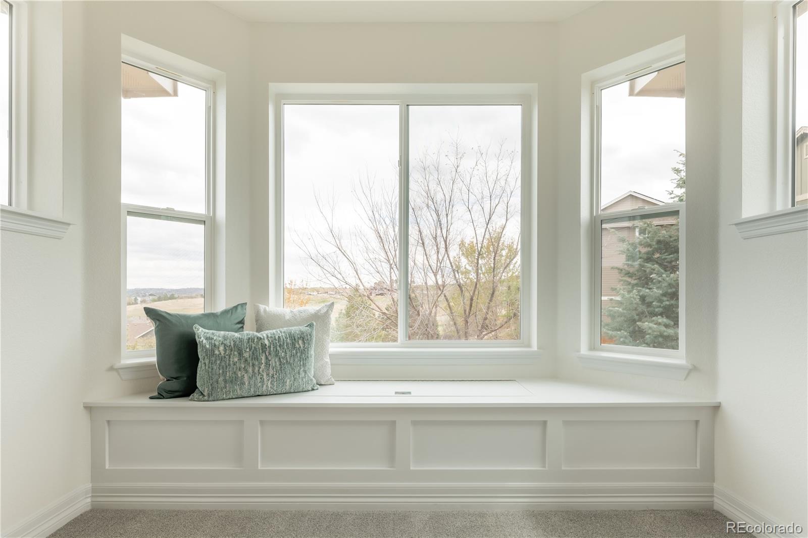 2552 Red Hawk Ridge Drive Castle Rock, CO 80109 - Photo 20 of 45