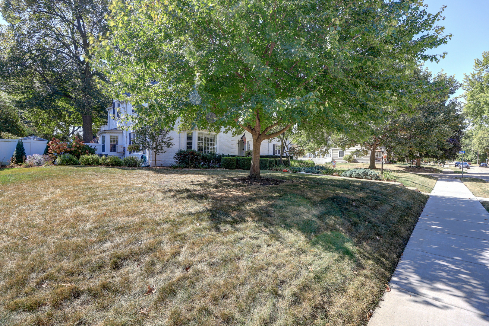 411 West 13th Street Sterling, IL 61081 - Photo 41 of 53 a view of a yard with plants and trees