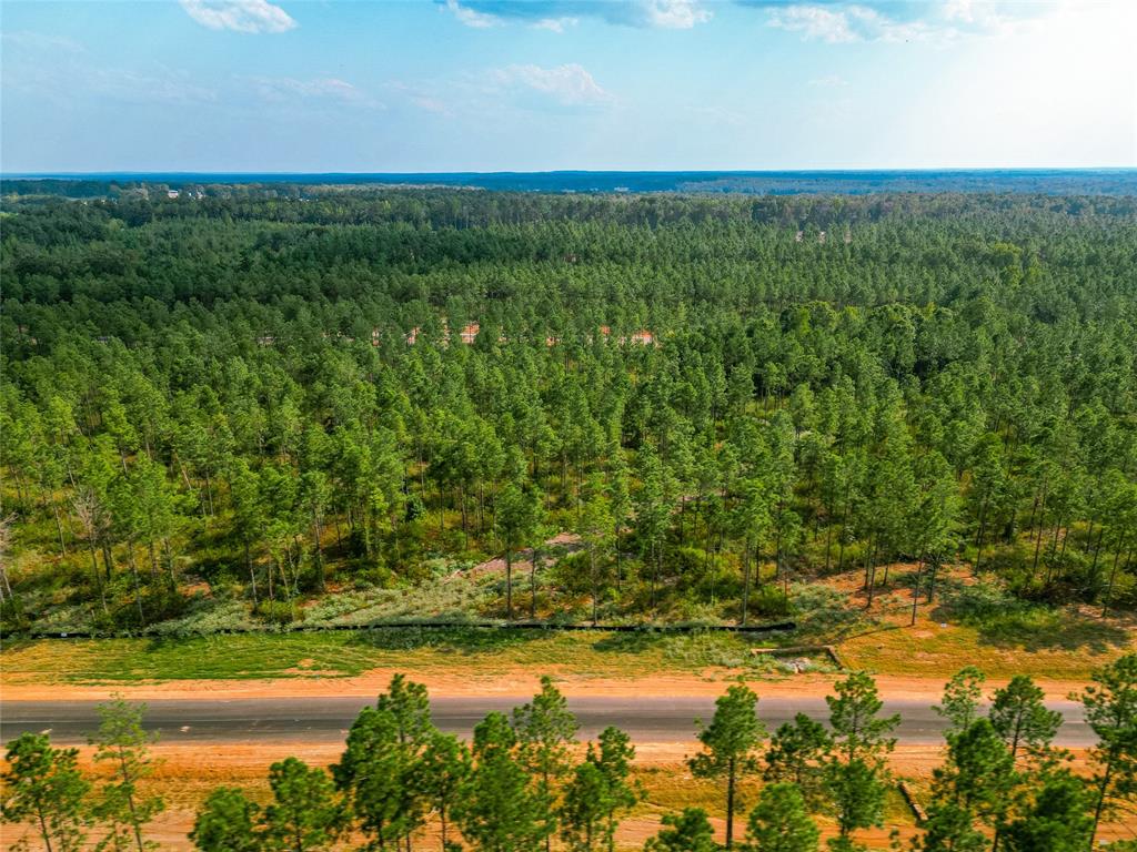 232 Millwood Loop, Unit 36 Minden, LA 71055 - Photo 12 of 14 a view of lake with green space