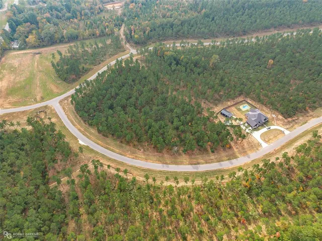 a view of a yard with a trees