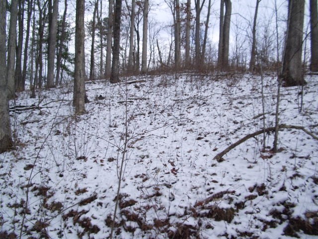 0 Messer Branch Road Hartford, TN 37753 - Photo 16 of 27