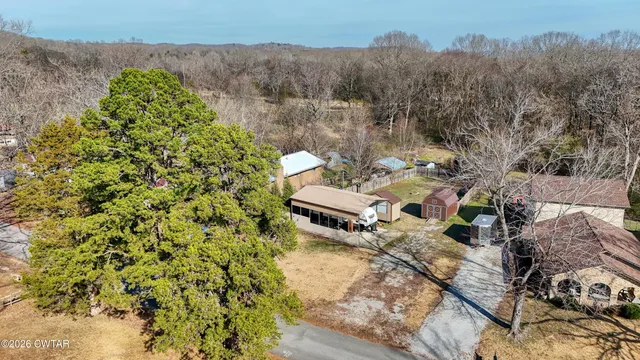 a view of a backyard with plants and a garden