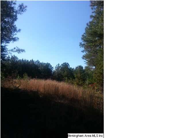 5 Charles Taylor Road Vance, AL 35490 - Photo 1 of 9