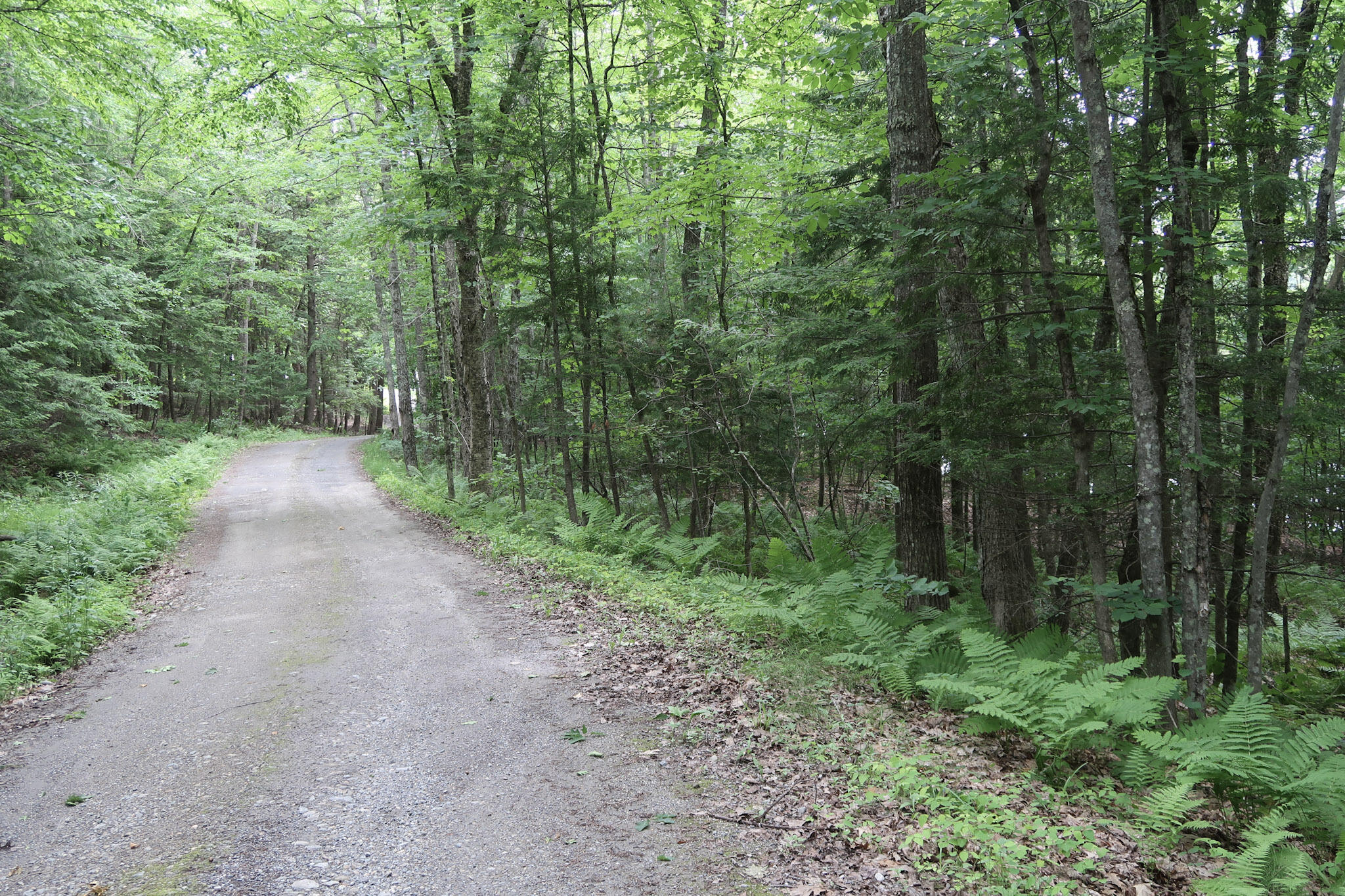 16 Lovejoy Lane Readfield, ME 04355 - Photo 19 of 63