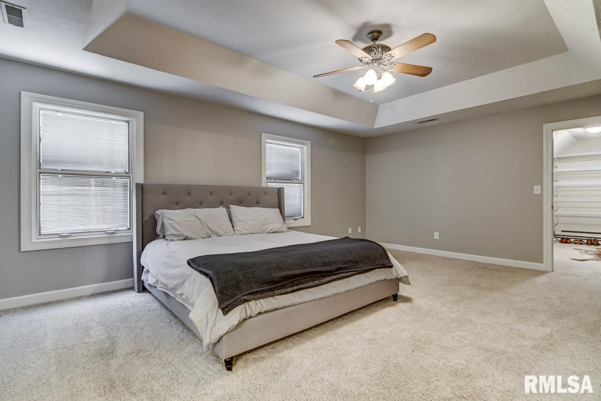 4 Woodland Trail Rochester, IL 62563 - Photo 21 of 49