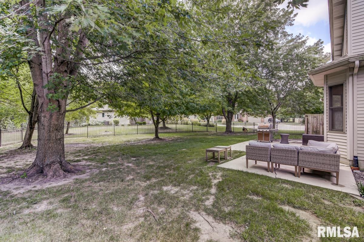 4 Woodland Trail Rochester, IL 62563 - Photo 43 of 49