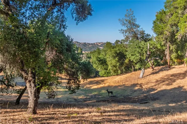 $1,070,000 | 5550 Las Tablas Bay Drive, Paso Robles, CA 93446