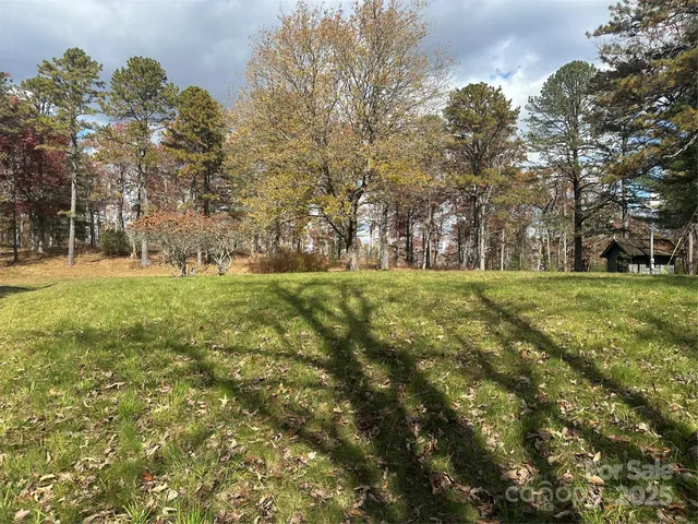 a view of yard with green space