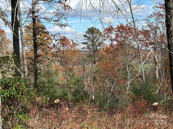 a view of a field