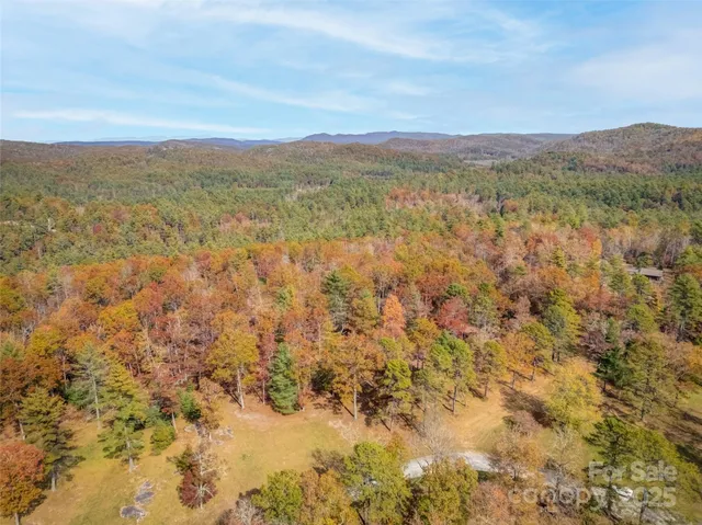 a view of lake and mountain