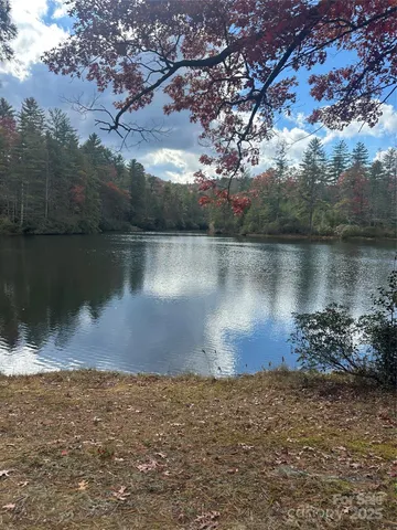 a view of a wooden floor with a tree