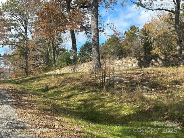 a view of a yard with large trees