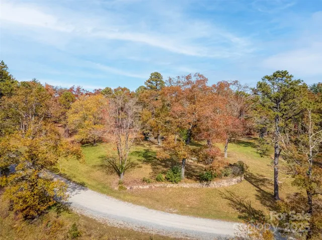a view of a yard with an trees
