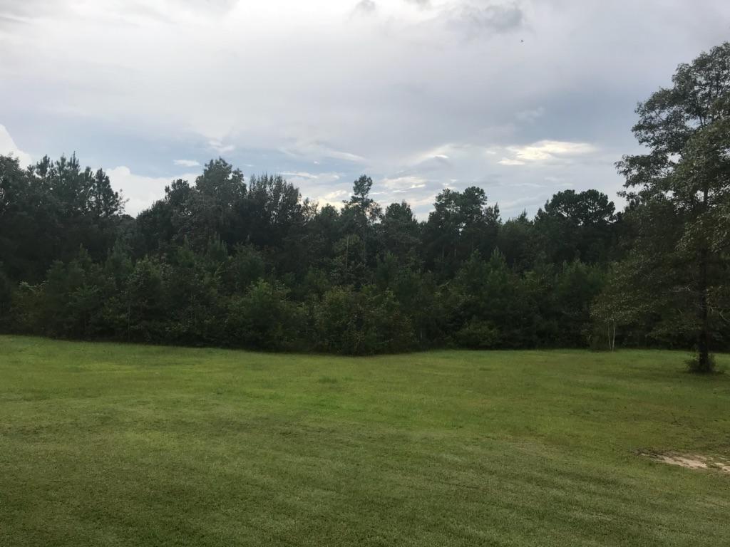 23151 Sarah Ingersol Road Amite, LA 70422 - Photo 18 of 20 Gallery Image 18