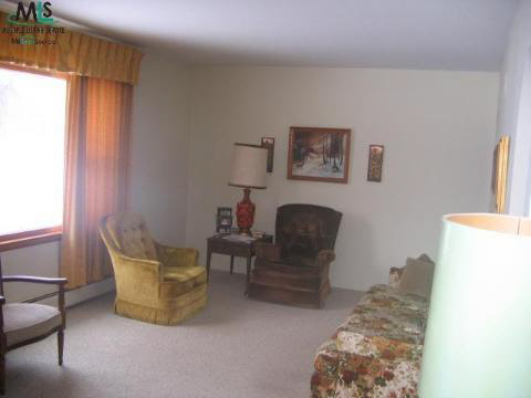 14520 Speaker Road Yale, MI 48097 - Photo 4 of 8 217055-3.JPG