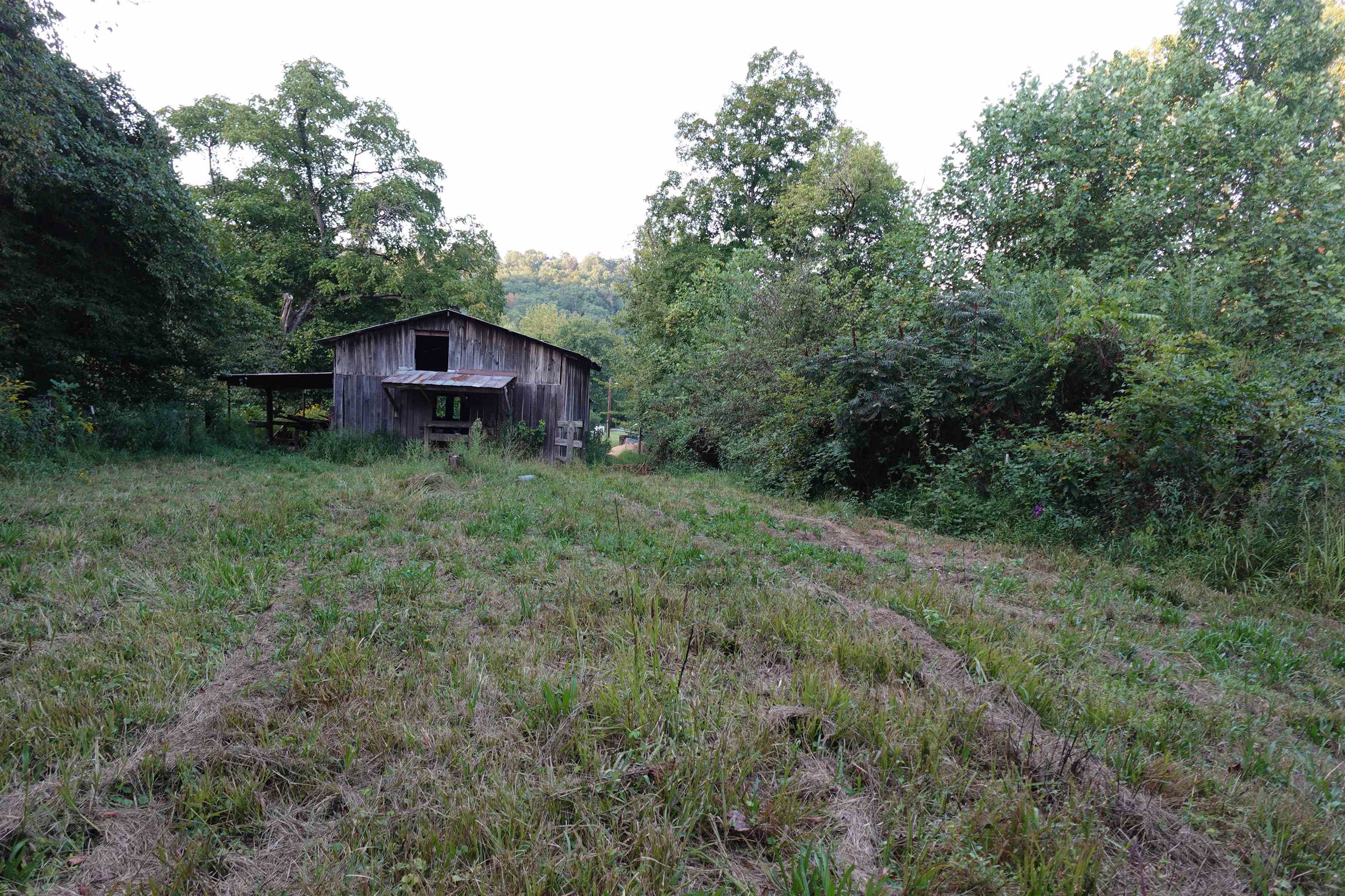 3367 Webb Road Crum, WV 25669 - Photo 11 of 26 Gallery Image 11