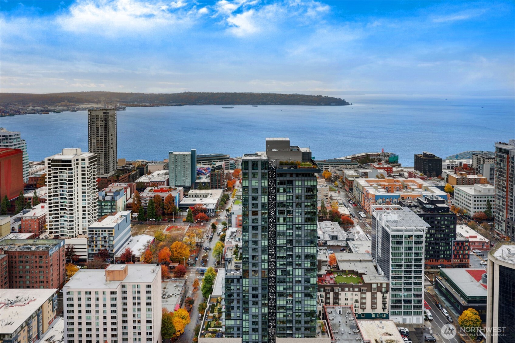 588 Bell Street, Unit 2008S Seattle, WA 98121 - Photo 37 of 38