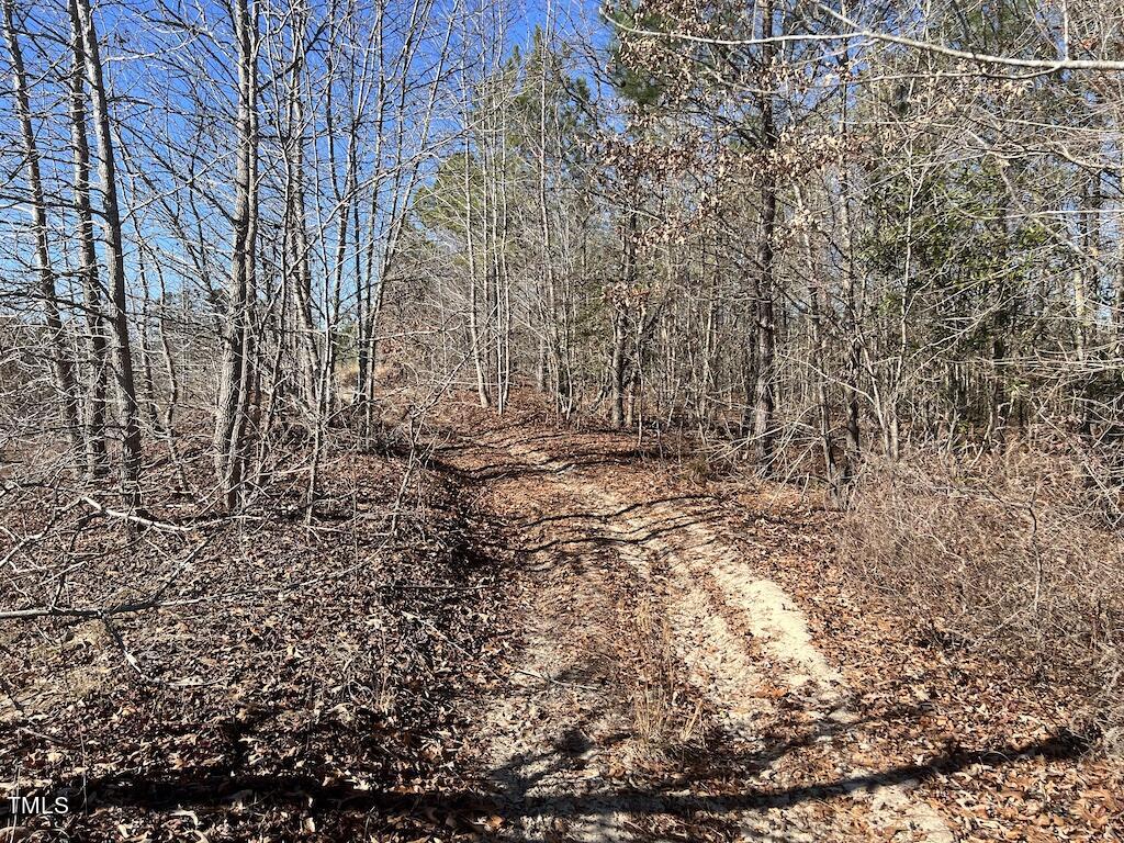 2 Josey Williams Road Erwin, NC 28339 - Photo 17 of 26 17