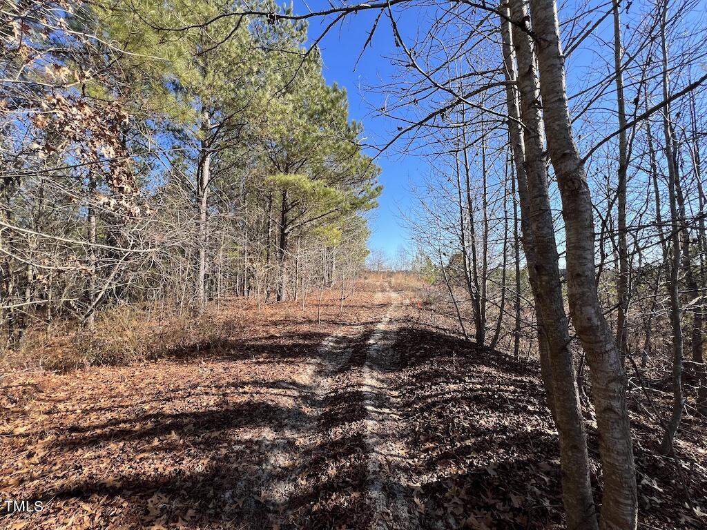 2 Josey Williams Road Erwin, NC 28339 - Photo 18 of 26 18