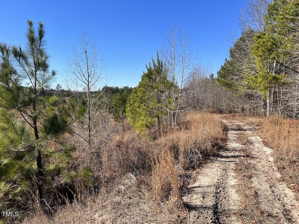 2 Josey Williams Road Erwin, NC 28339 - Photo 20 of 26 20