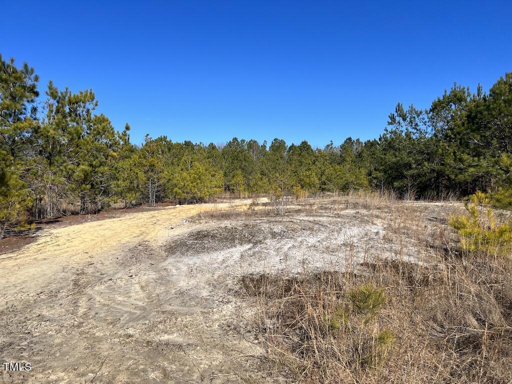 2 Josey Williams Road Erwin, NC 28339 - Photo 21 of 26 21