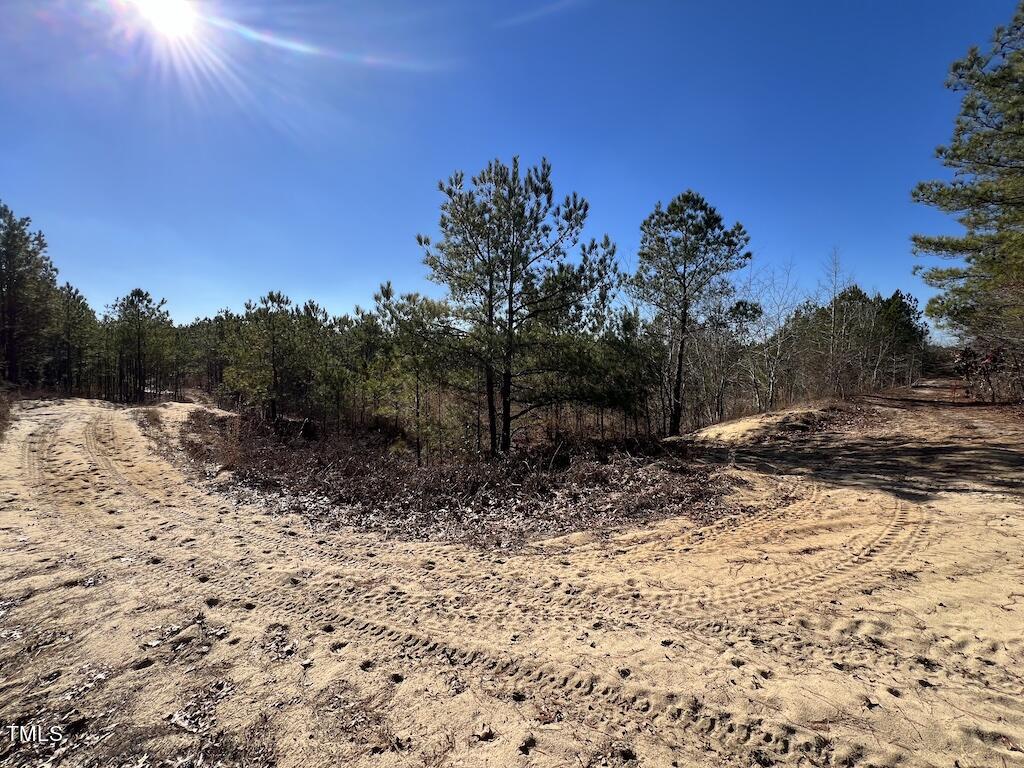 2 Josey Williams Road Erwin, NC 28339 - Photo 23 of 26 23