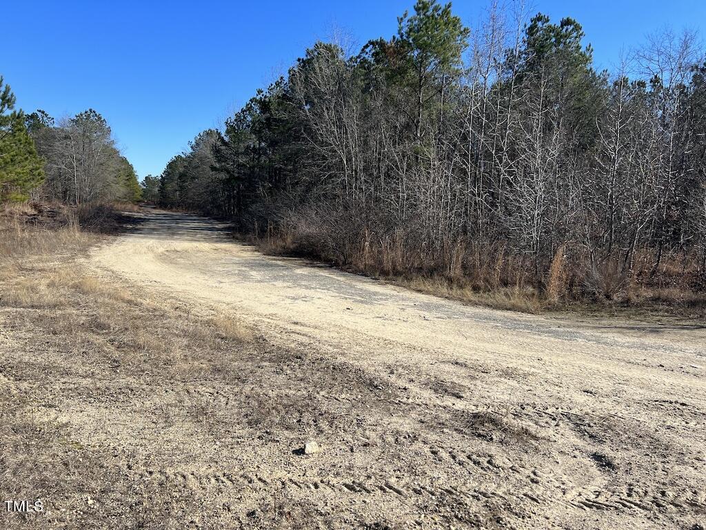 2 Josey Williams Road Erwin, NC 28339 - Photo 26 of 26 26