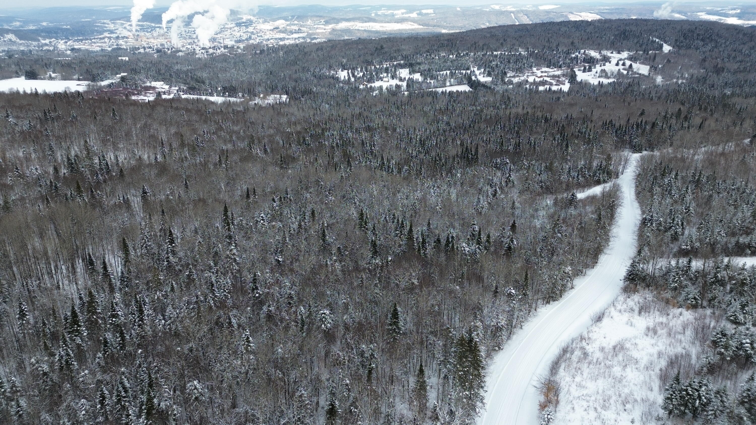 DJI_0619