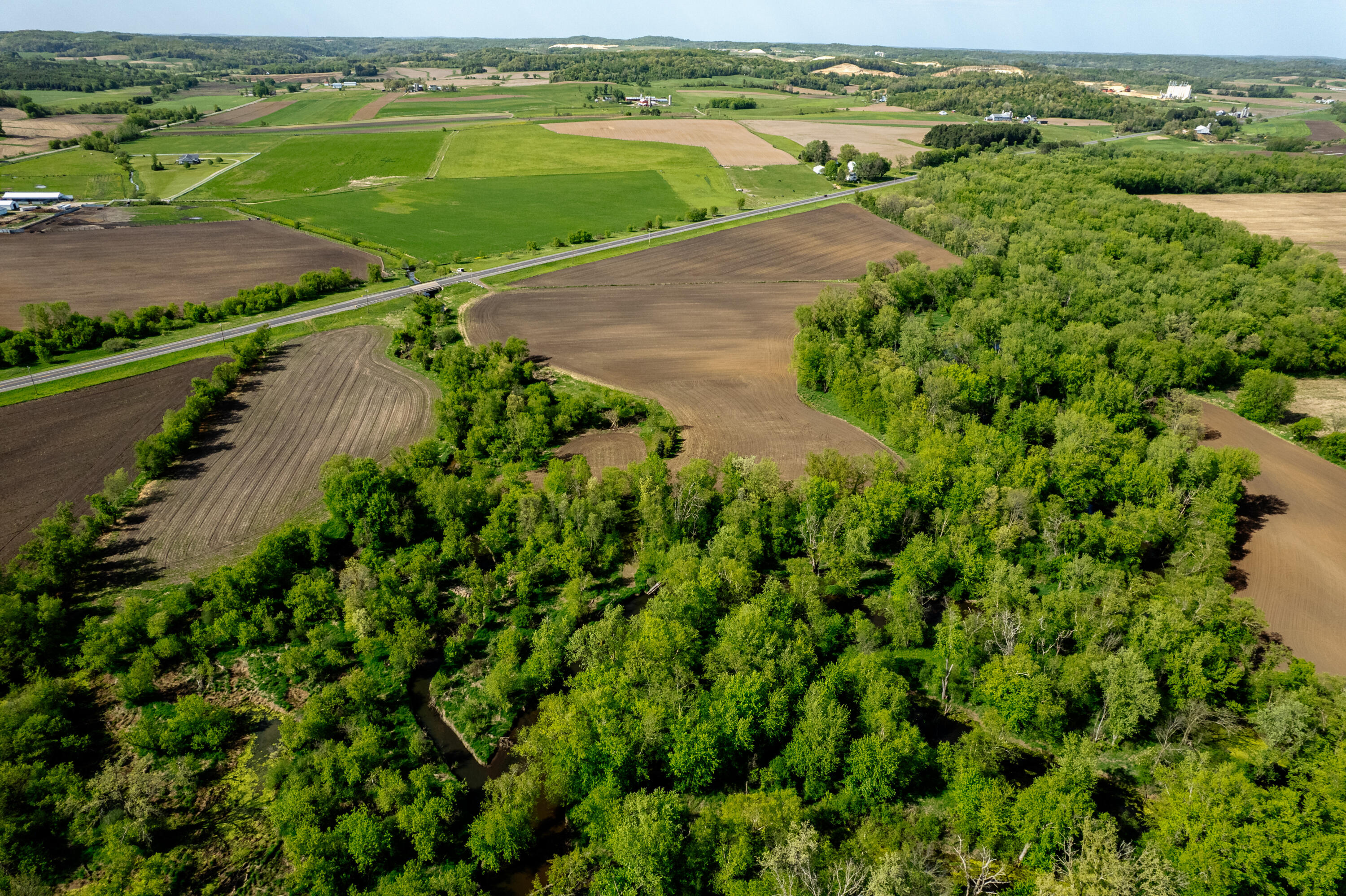 W16875 State Highway 95 Springfield, WI 54659 - Photo 5 of 22 Recreational Forest