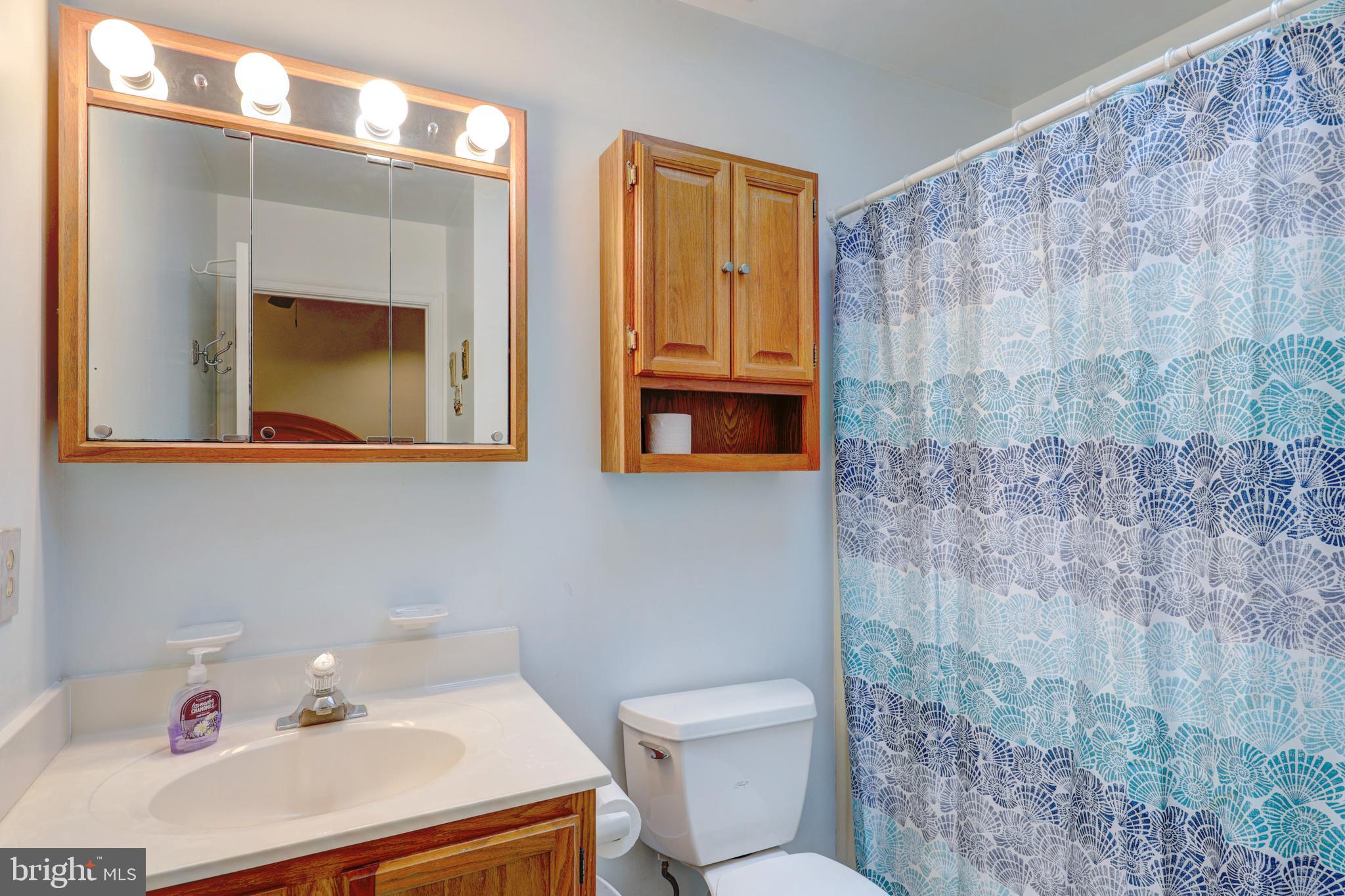 36 Rabbit Run Lane Ocean Pines, MD 21811 - Photo 21 of 28 Full Bathroom