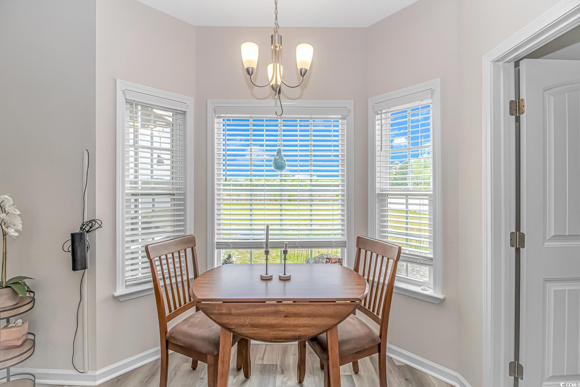 262 Ole Maple Street Loris, SC 29569 - Photo 10 of 40