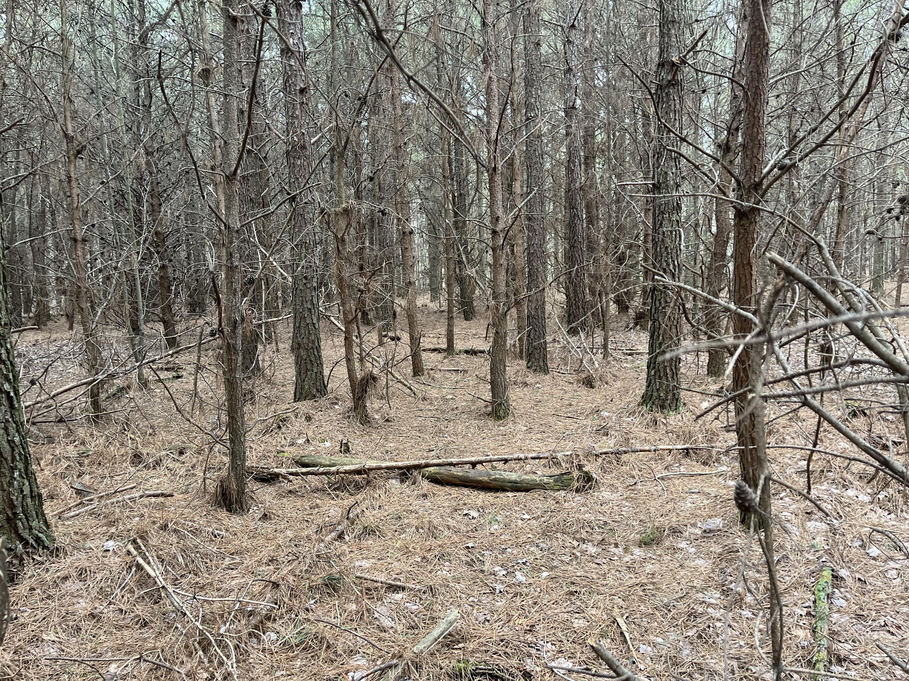 12 Fredonia Road Dunlap, TN 37327 - Photo 42 of 46 Photo Feb 20 2023, 12 57 28 PM