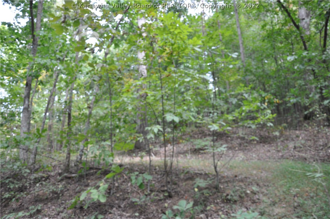 0 Fuquays Creek Road Sod, WV 25564 - Photo 13 of 21 Gallery Image 13