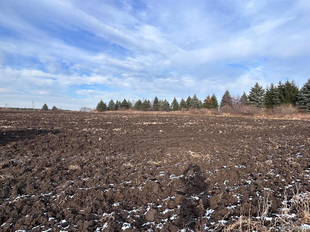 Vl Vl Suewier Road Applegate, MI 48401 - Photo 5 of 11