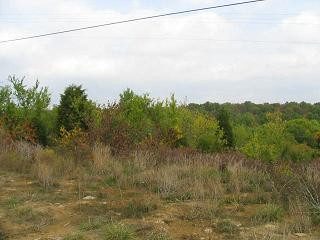 600 Cull Road Owenton, KY 40359 - Photo 1 of 1 Gallery Image 1