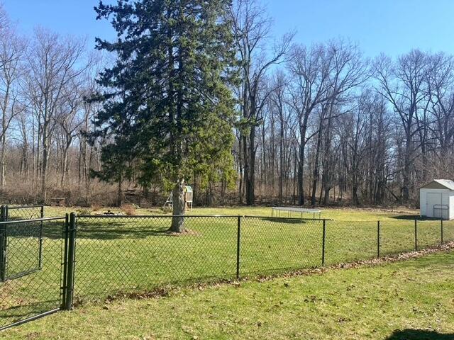 30311 Highway 86 Colon, MI 49040 - Photo 14 of 21 30311backyard2nd