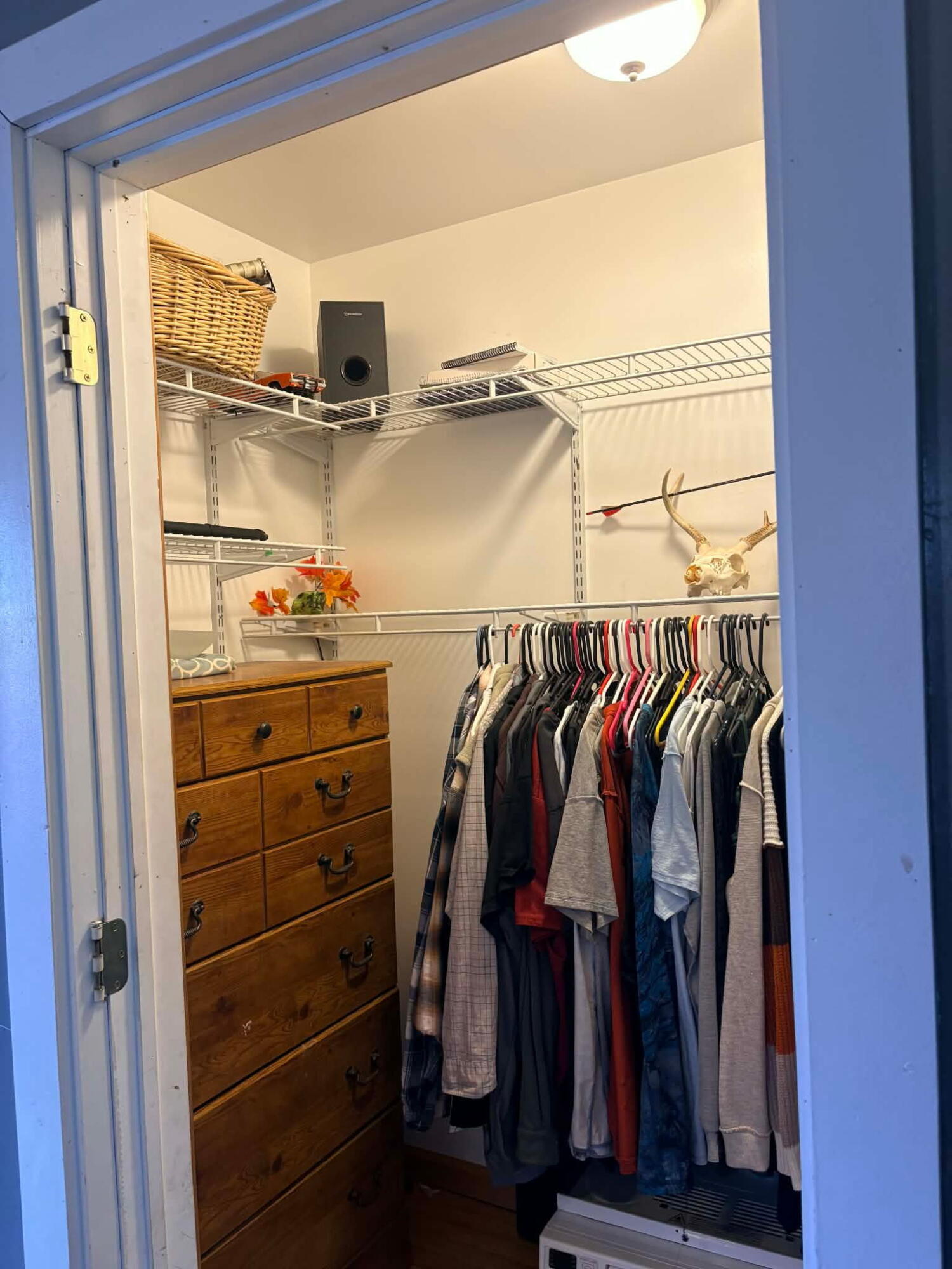 30311 Highway 86 Colon, MI 49040 - Photo 21 of 21 30311closet