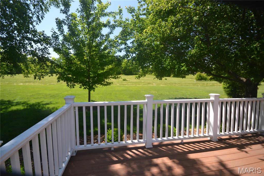 3728 Rhetts Landing Shiloh, IL 62221 - Photo 43 of 48