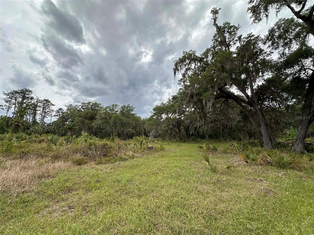 6800 Northeast 175th Street Road Citra, FL 32113 - Photo 20 of 27 a view of a yard