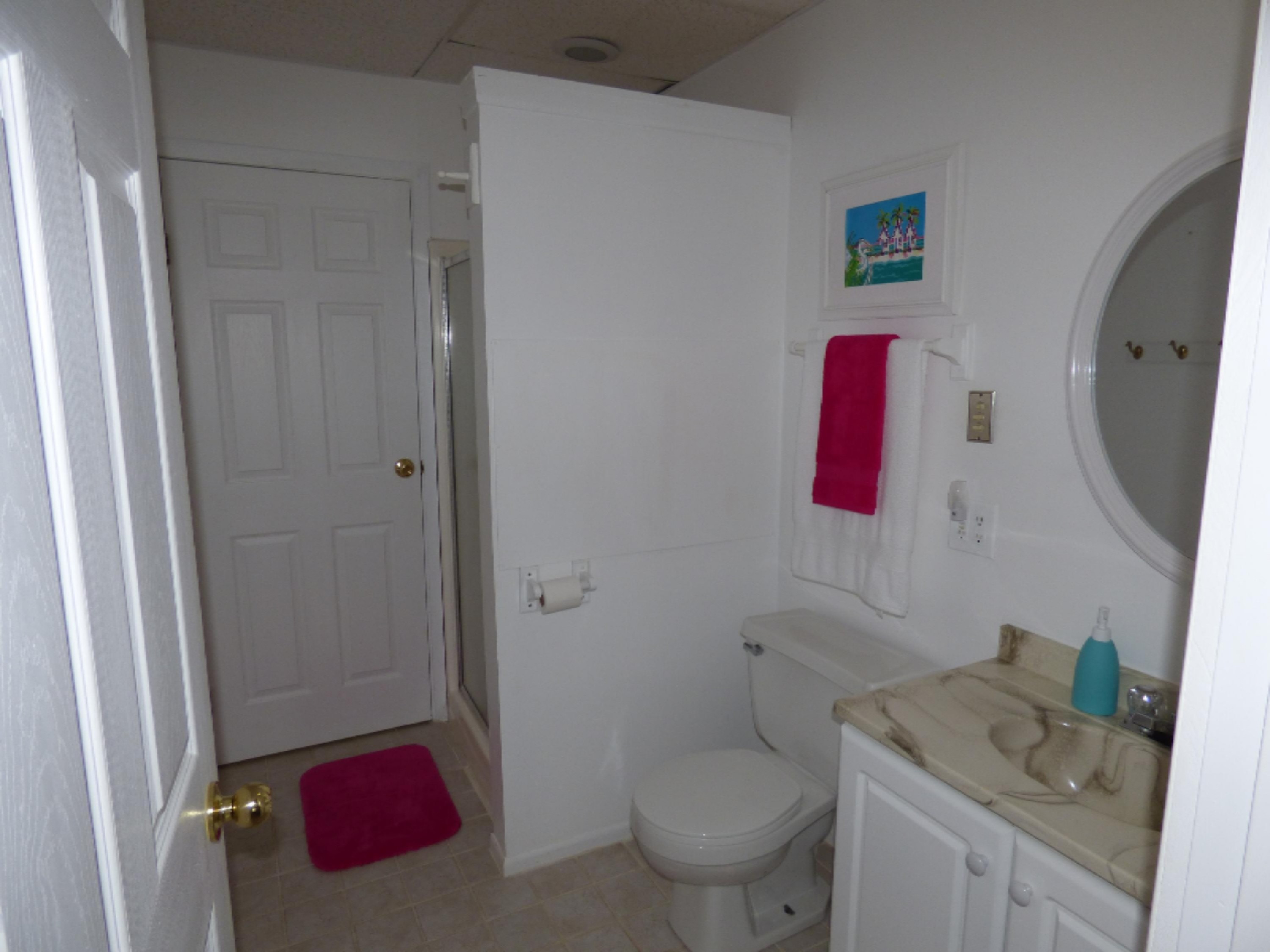 86590 60th Street Decatur, MI 49045 - Photo 15 of 27 Lower level bath