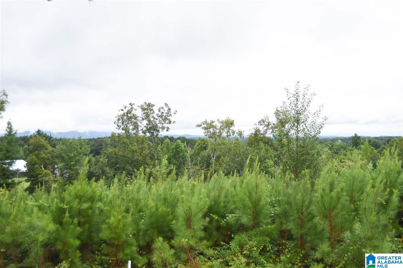 313 County Road 437 Heflin, AL 36264 - Photo 46 of 49