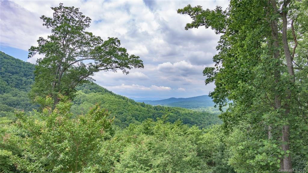 126 Dalya Road, Unit 14B Swannanoa, NC 28778 - Photo 16 of 24 Gallery Image 16