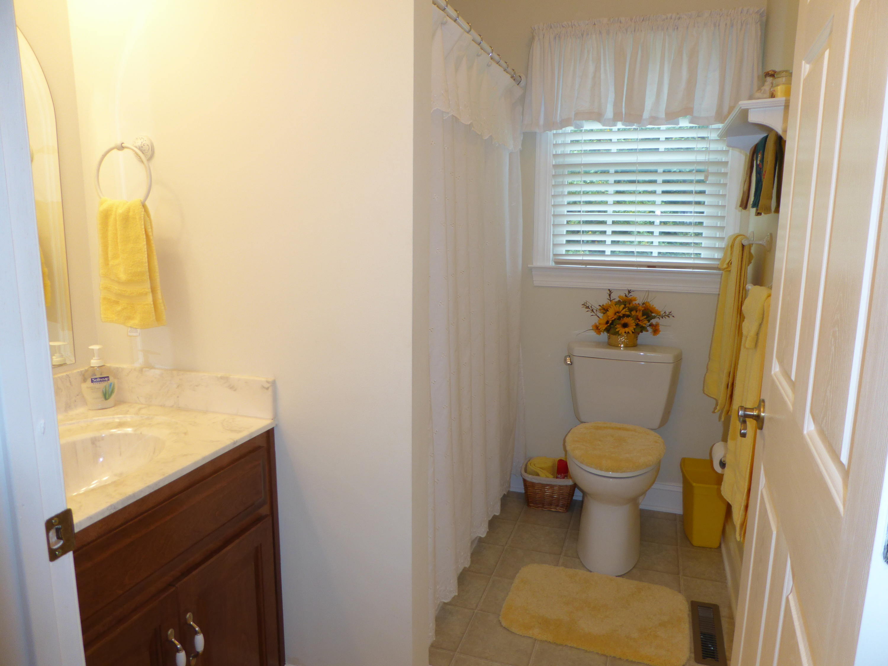 12419 Callaway Road Callaway, VA 24067 - Photo 39 of 96 a bathroom with a sink and a toilet