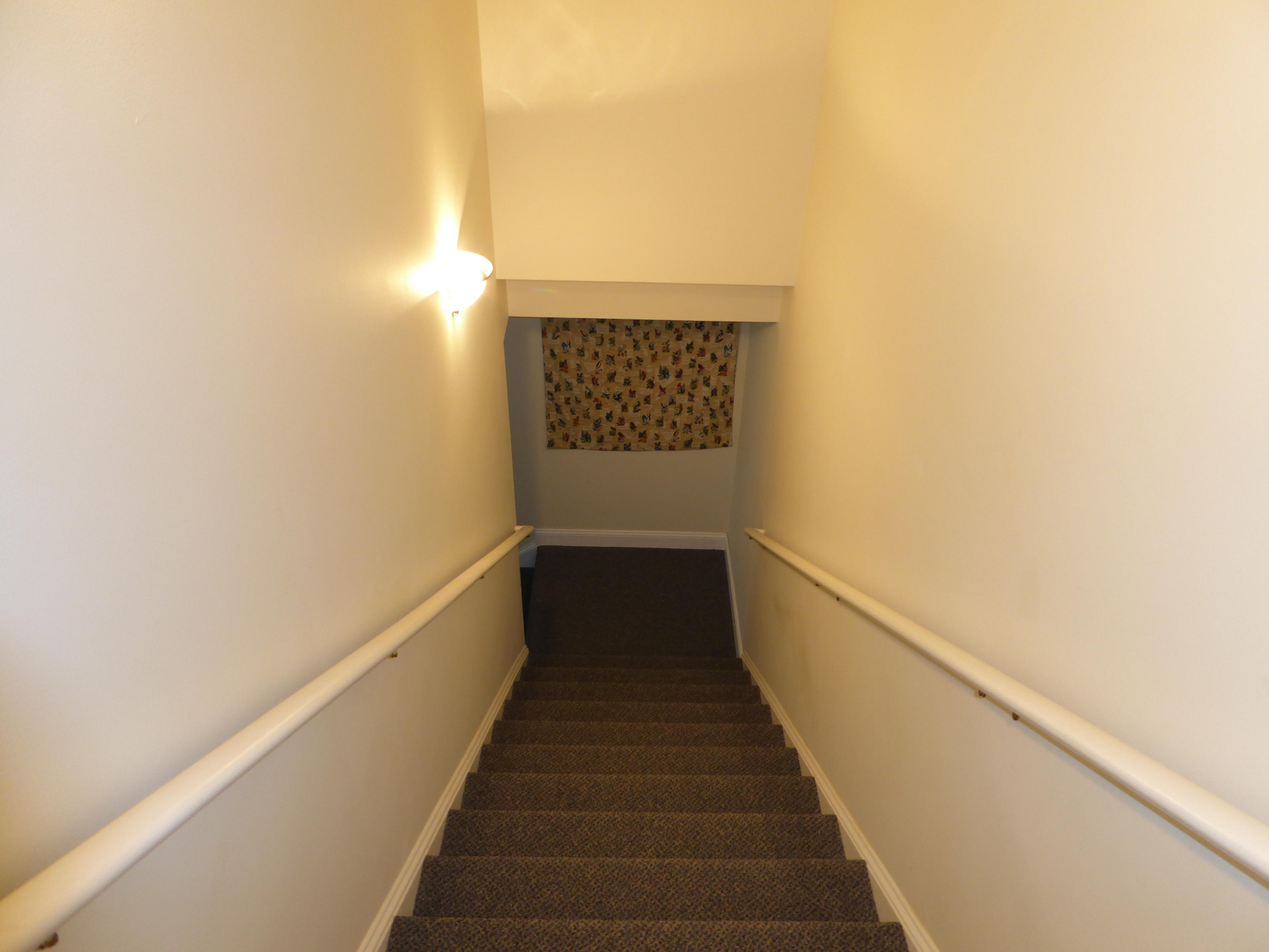 12419 Callaway Road Callaway, VA 24067 - Photo 48 of 96 Stairs to Lower Level