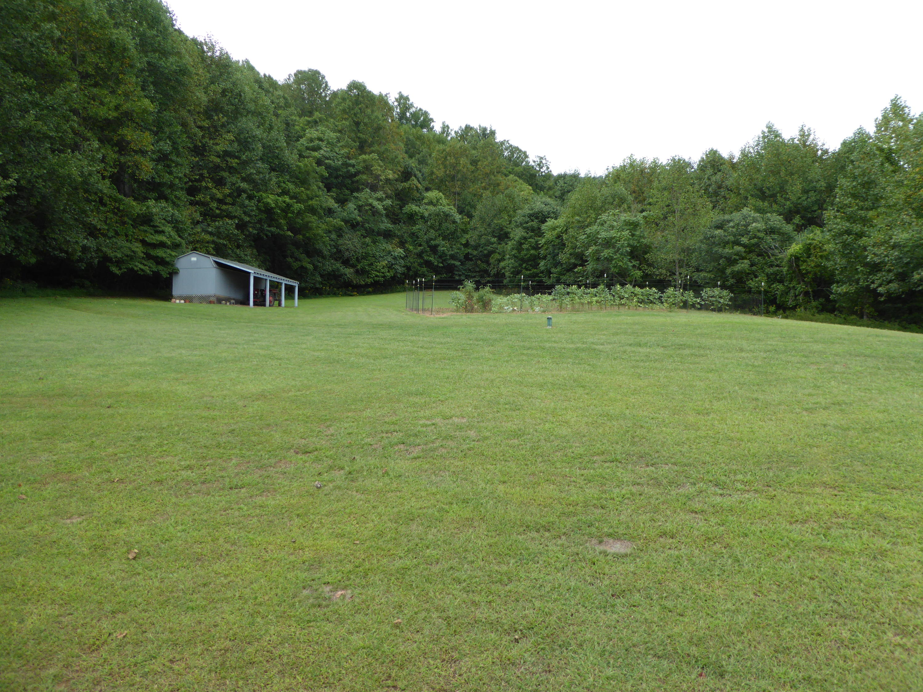 12419 Callaway Road Callaway, VA 24067 - Photo 59 of 96 Back Yard