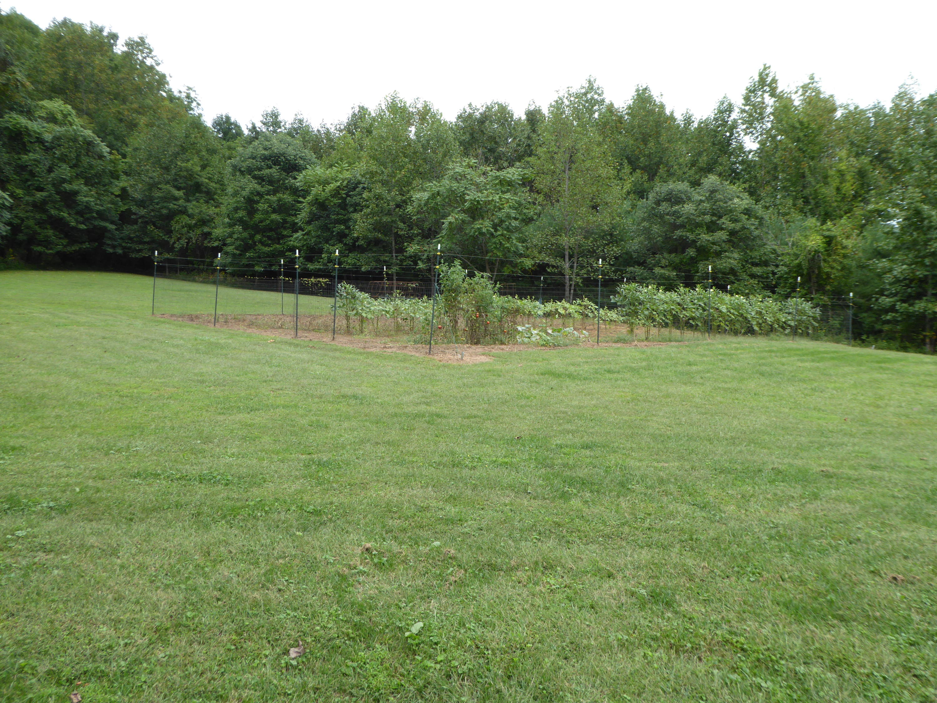 12419 Callaway Road Callaway, VA 24067 - Photo 62 of 96 Garden Space