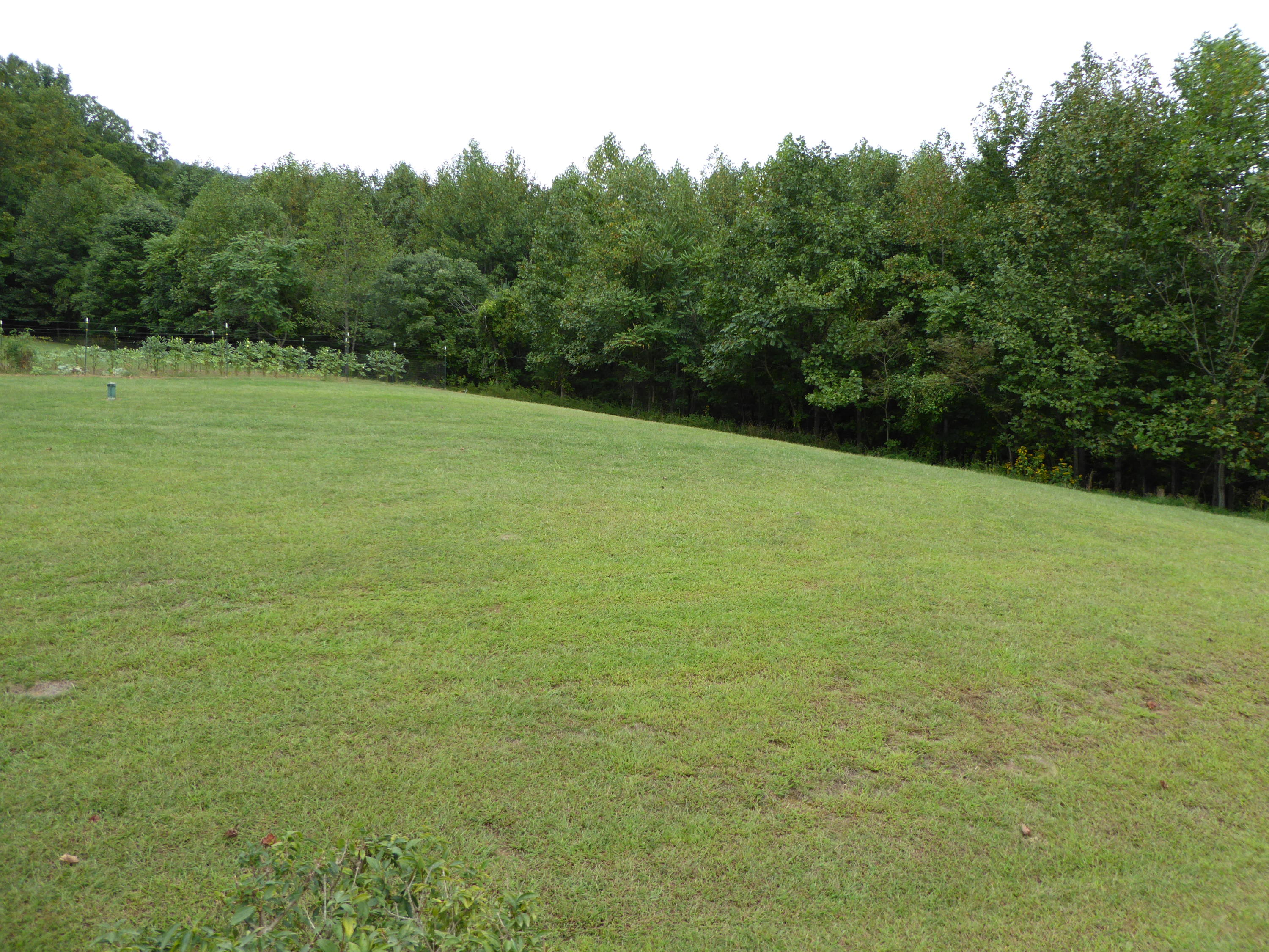12419 Callaway Road Callaway, VA 24067 - Photo 63 of 96 a view of a field with a trees in the background