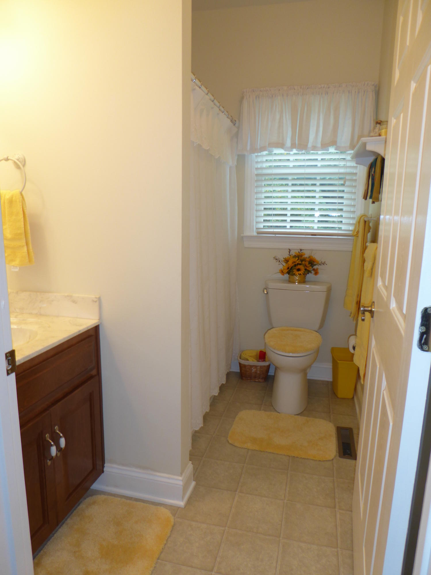 12419 Callaway Road Callaway, VA 24067 - Photo 85 of 96 a bathroom with a sink a toilet a window and vanity